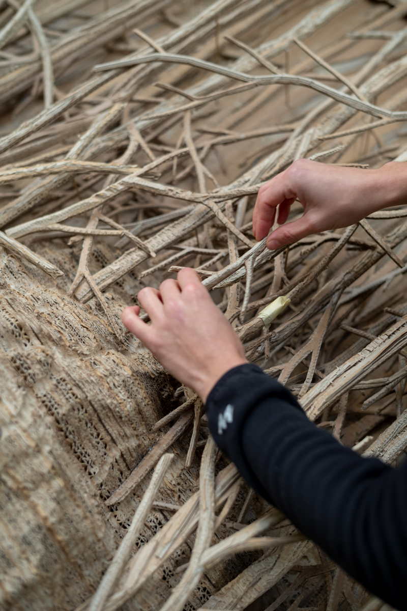 Eva Jospin working on her Carte Blanche PROMENADE(S) in her parisian workshop, 2022