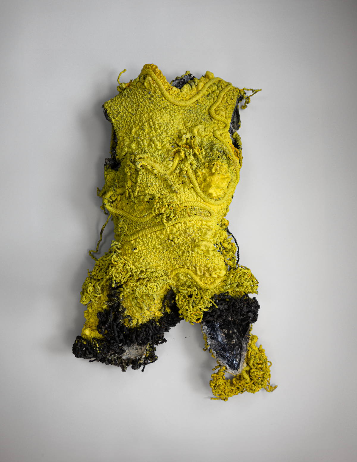 Piero D’Angelo, Physarum Lab. Photograph by Ellen Sampson.