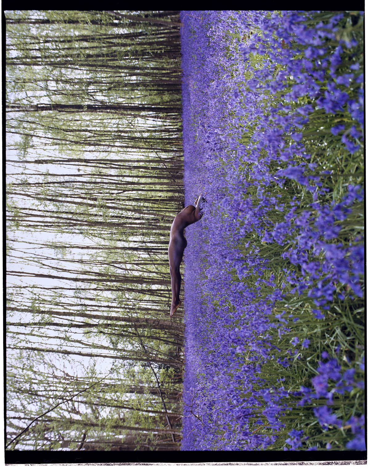 Woman with flowers, from the book Fallen Flowers
