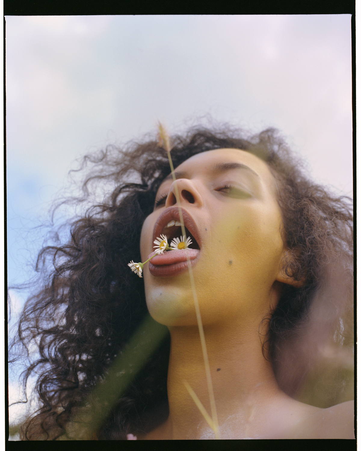 Woman with flowers, from the book Fallen Flowers