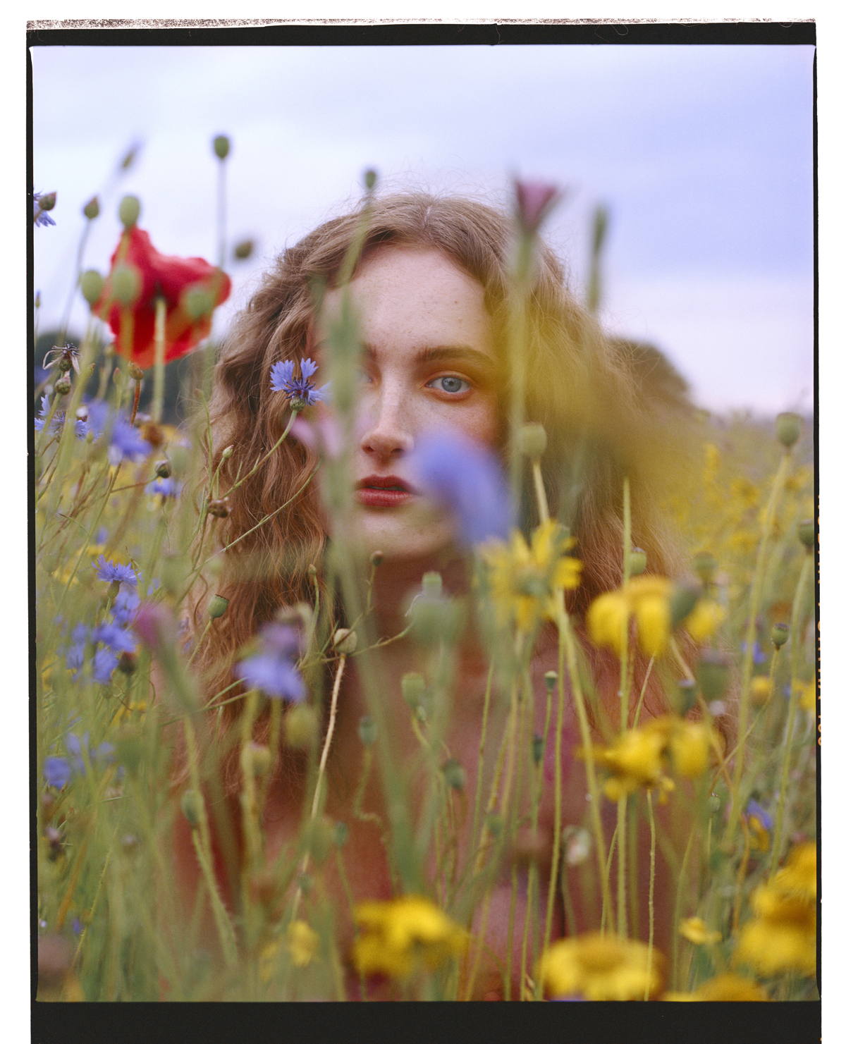 Woman with flowers, from the book Fallen Flowers