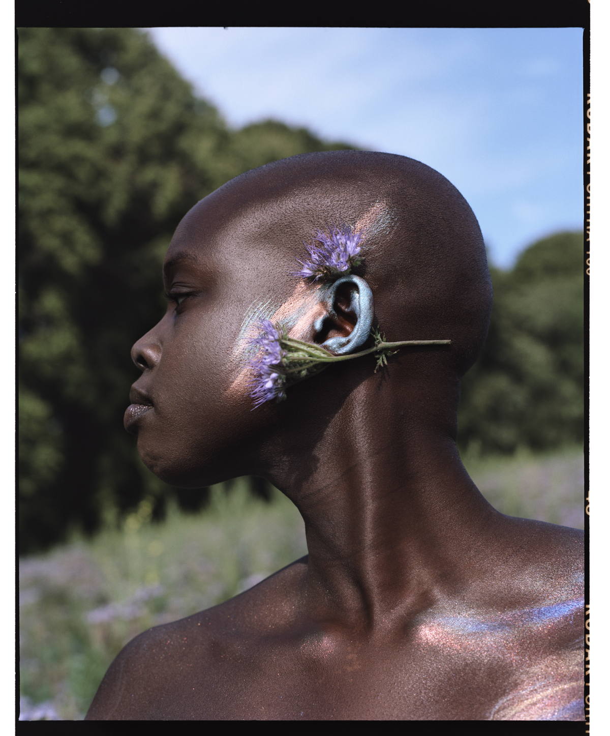 Woman with flowers, from the book Fallen Flowers