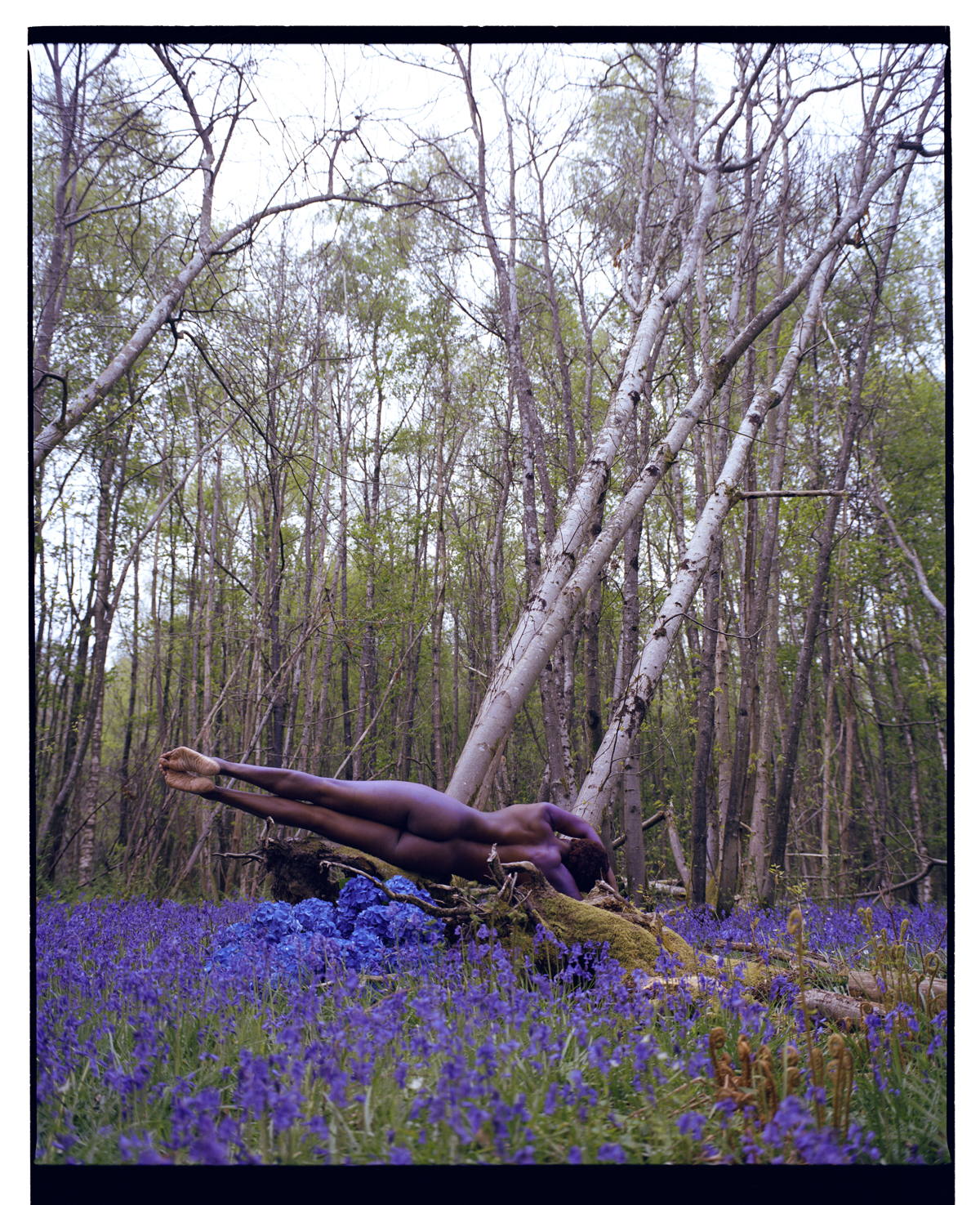 Woman with flowers, from the book Fallen Flowers