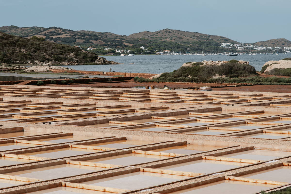 Sal de Menorca