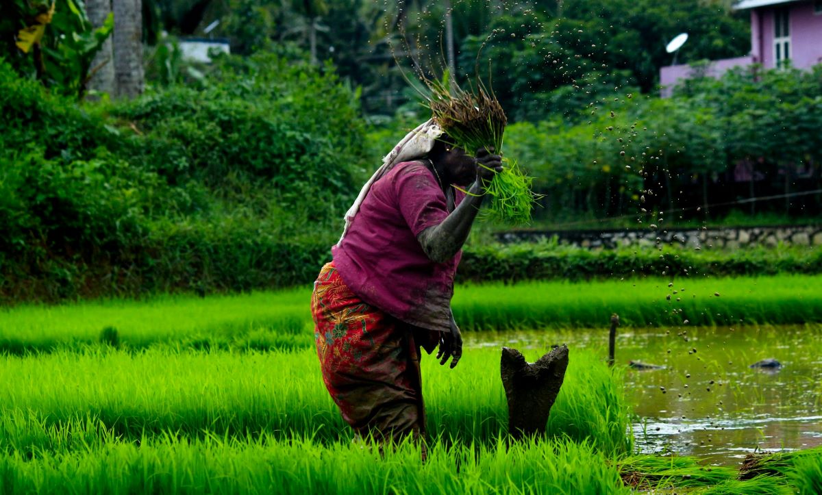 Staying-Afloat-The-Wonders-of-Bangladesh’s-Floating-Gardens