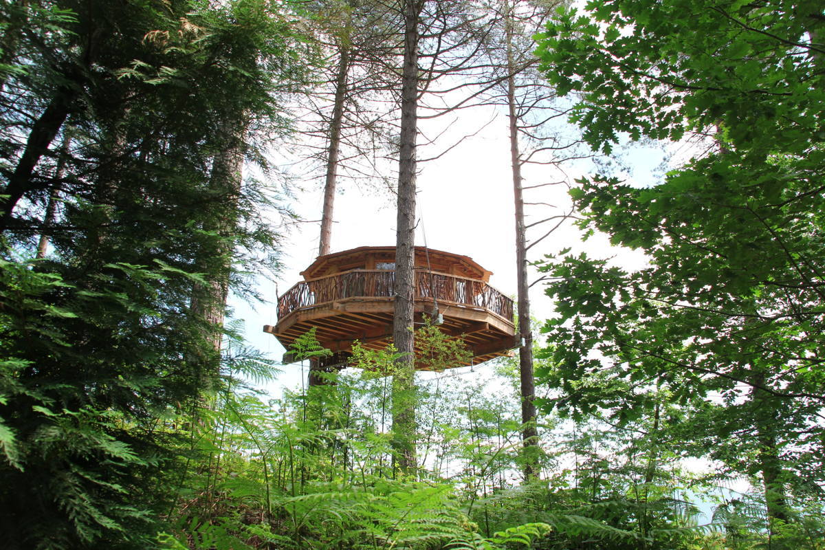 Tree House Suite Oooh