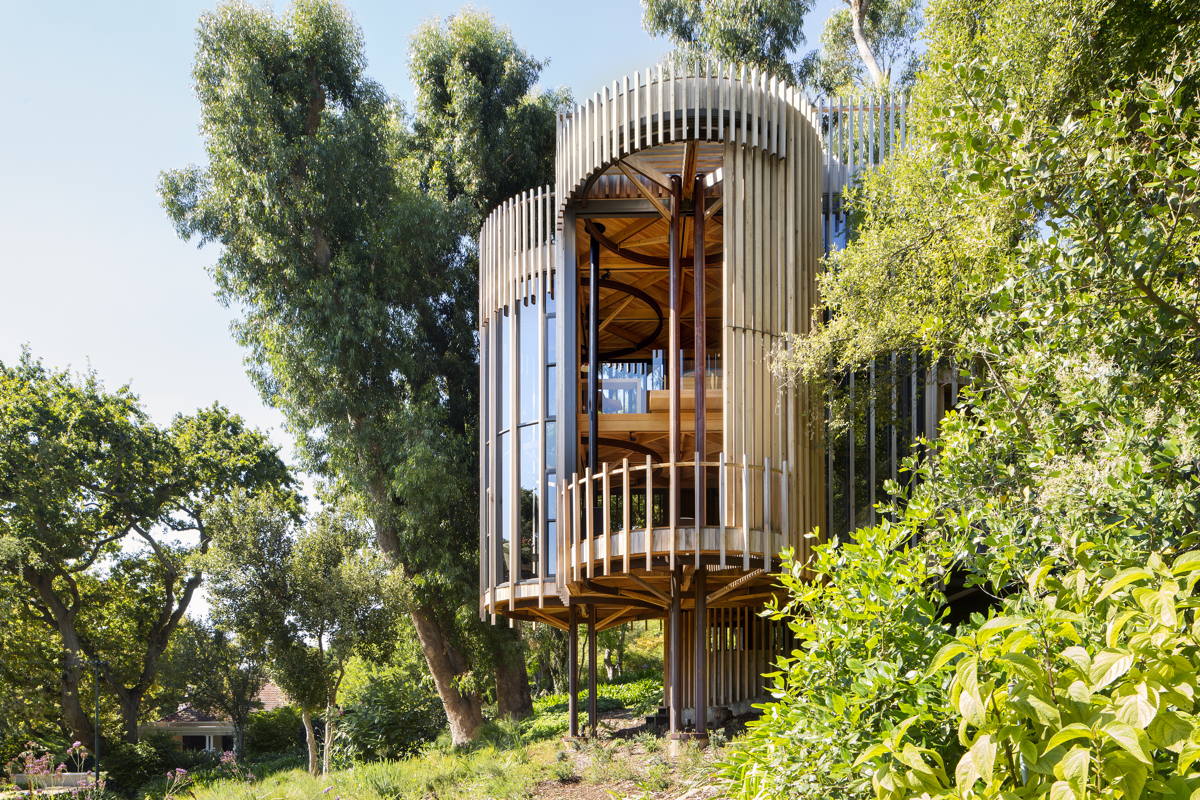 Malan Vorster Treehouse © Adam Letch