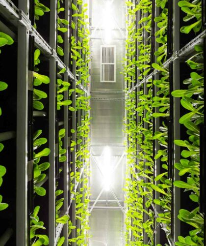 Vertical-Farming-Urban-Solution-for-Fresh-Food