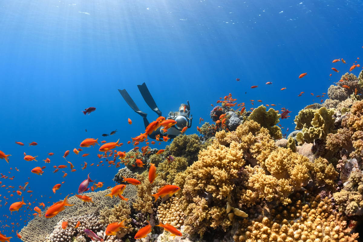 coral reefs tourism