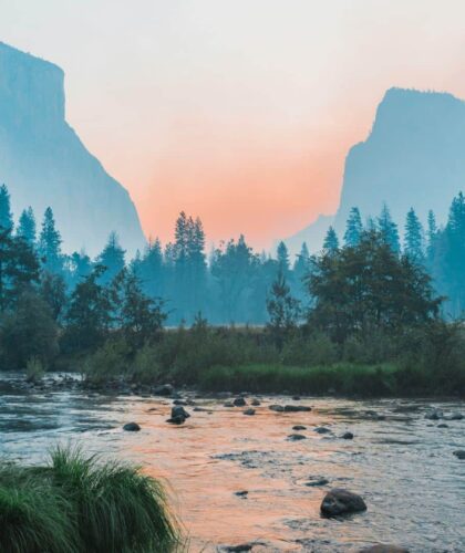 Nature and literature