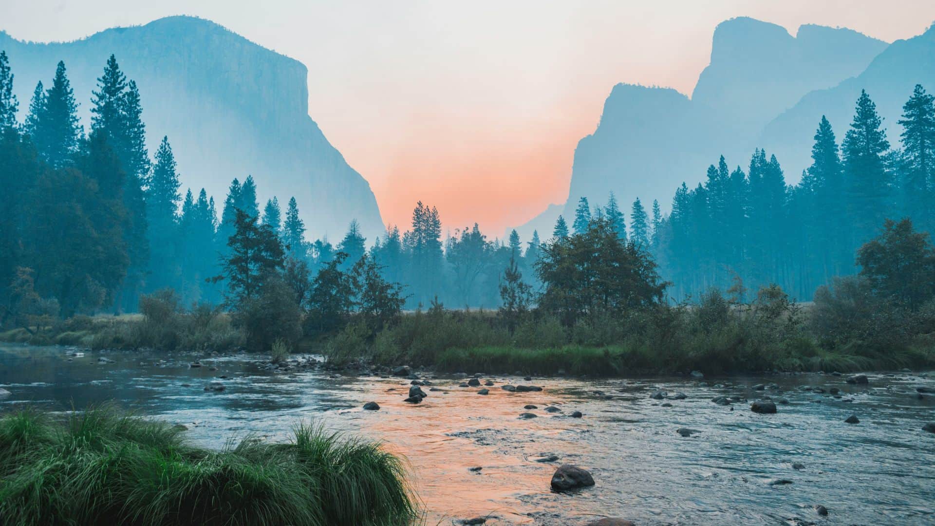 Nature and literature