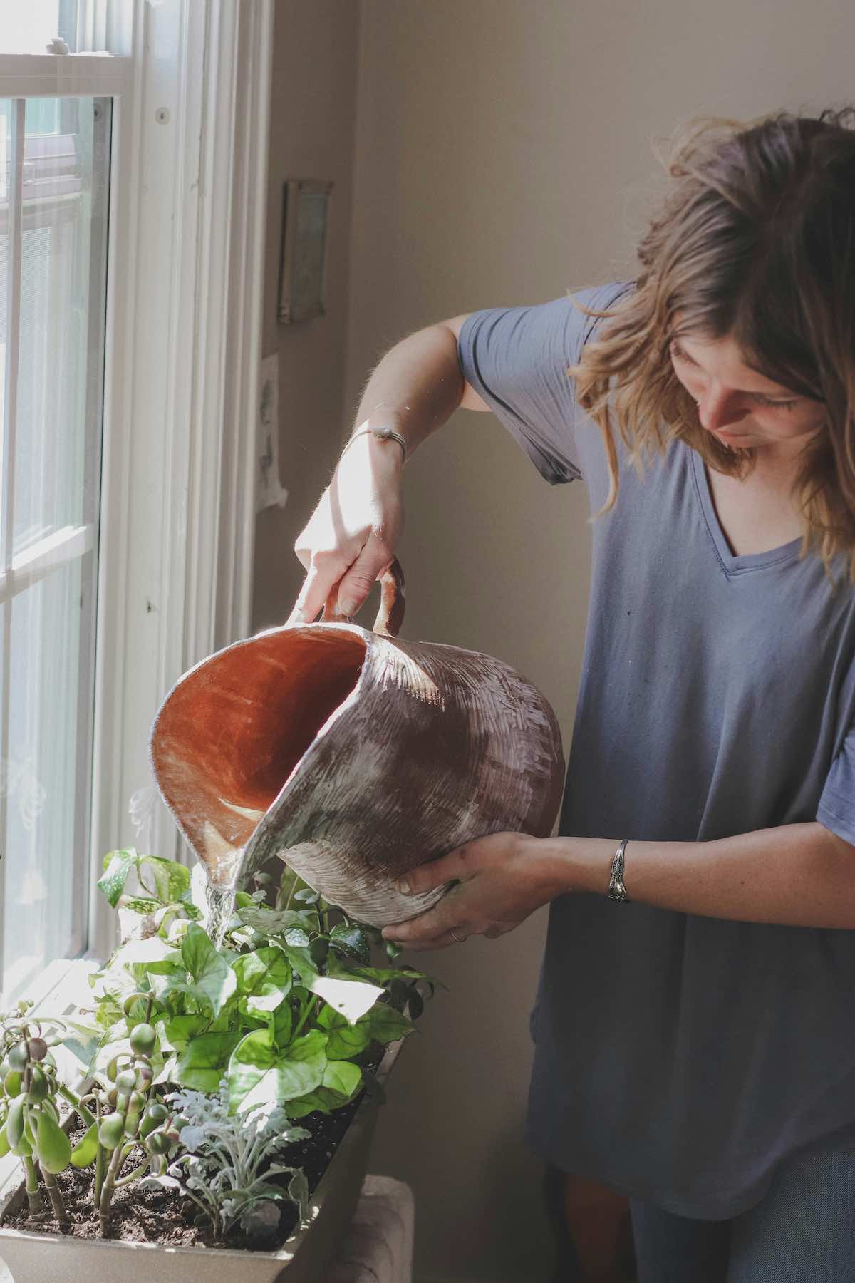 watering herbs