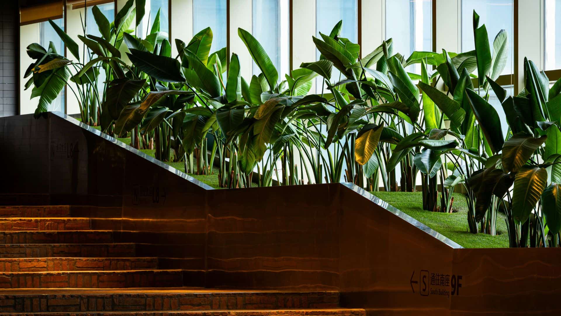 biophilic design