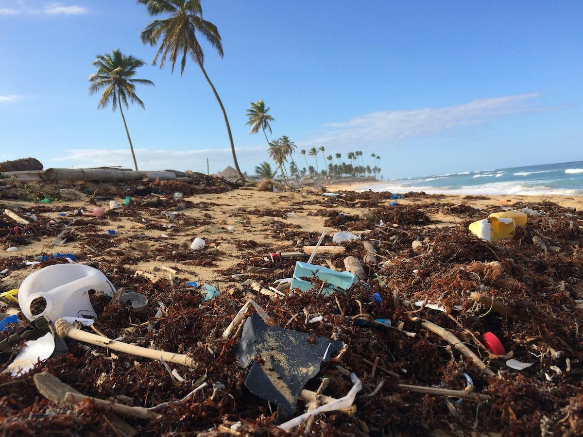 Dustan Woodhouse Beach Pollution