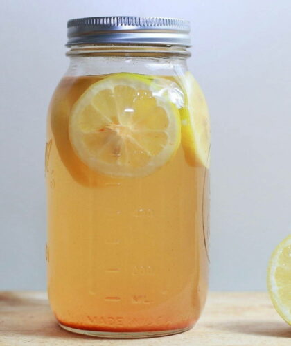Citrus Fermented drink