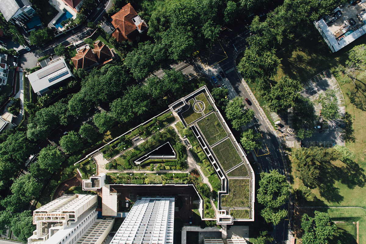 green roofs