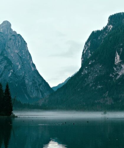 quietcation