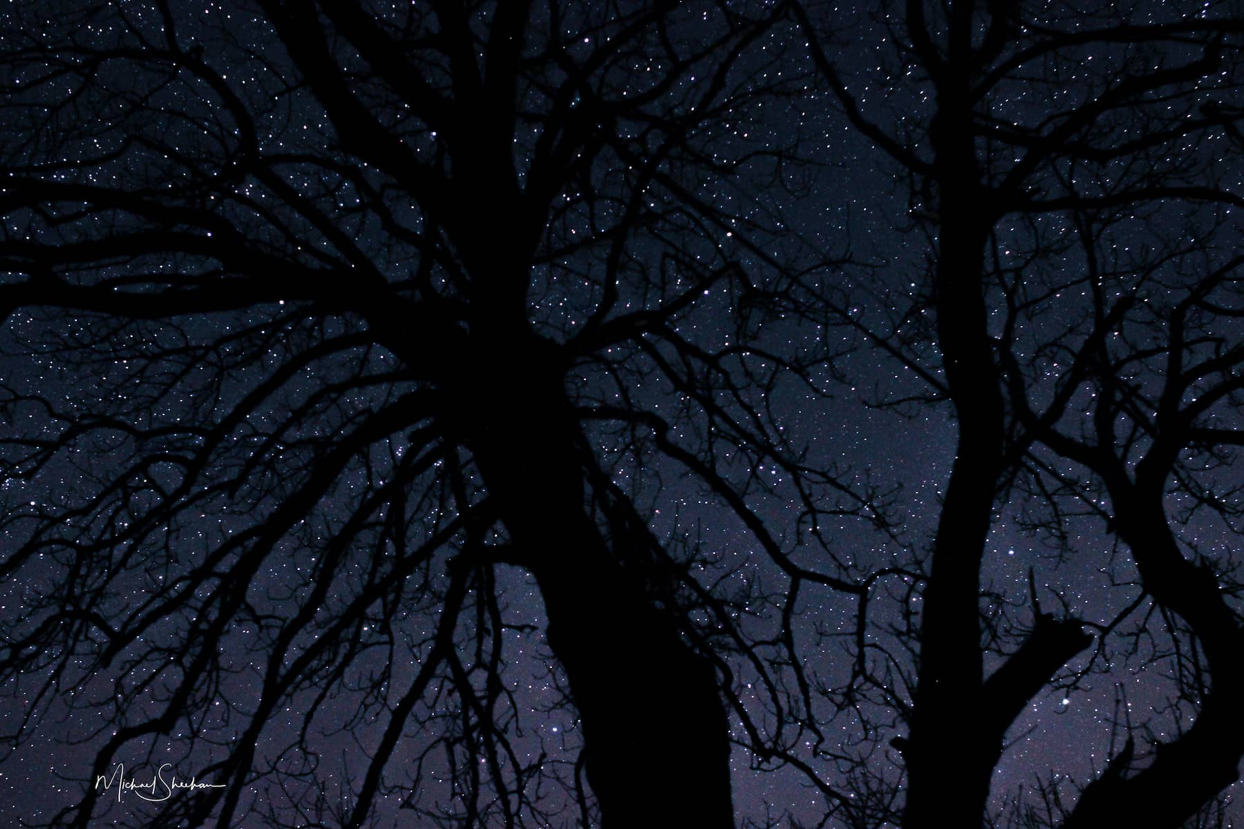 Dark sky tourism