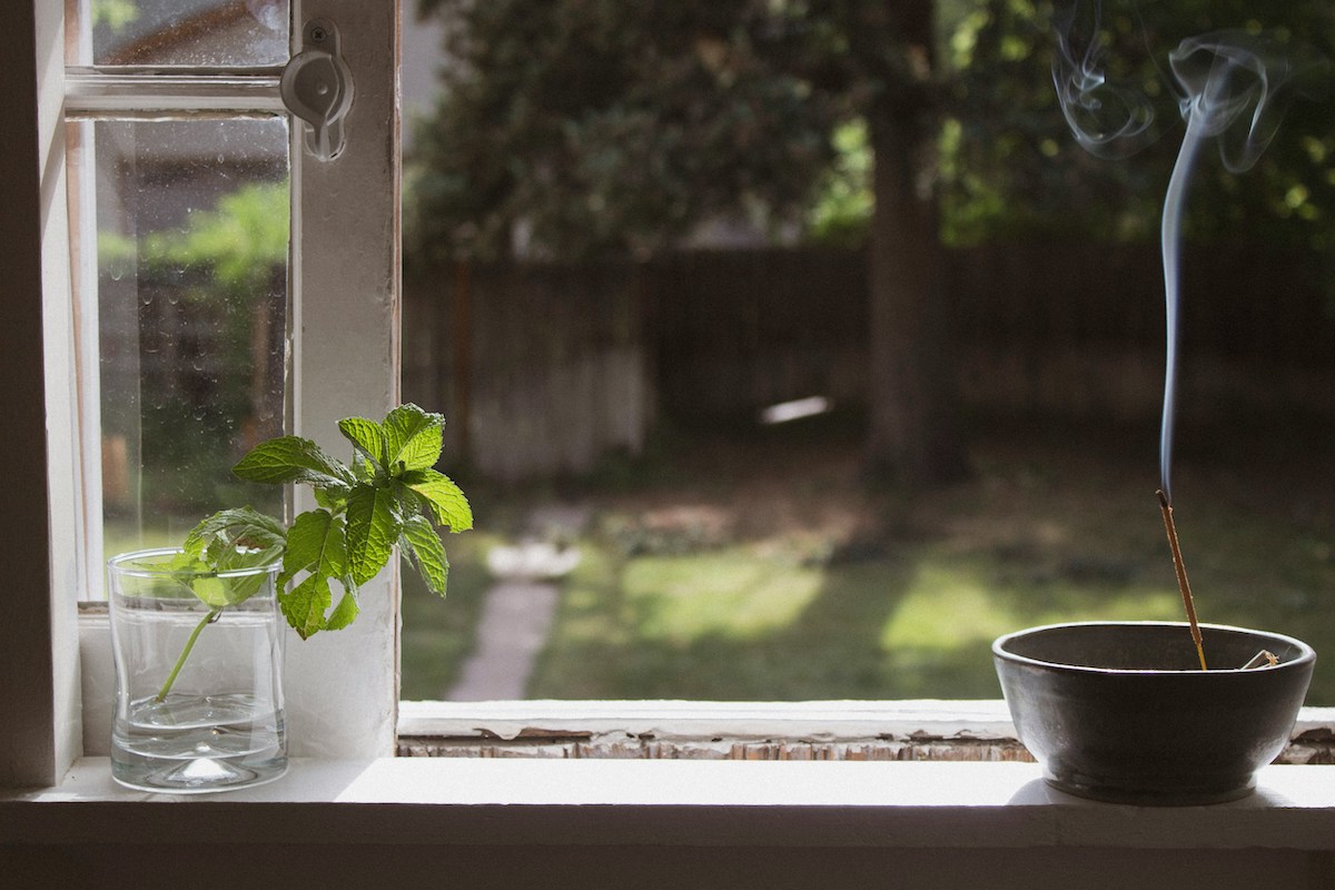 basil windowsill