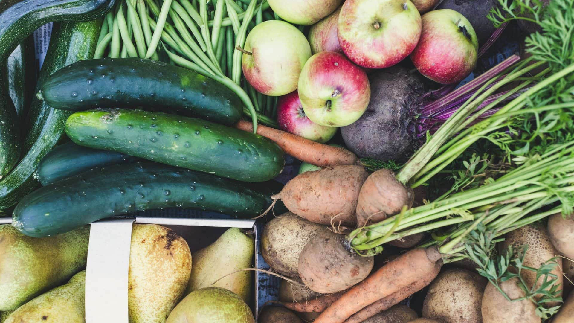 Gardening and urban farming