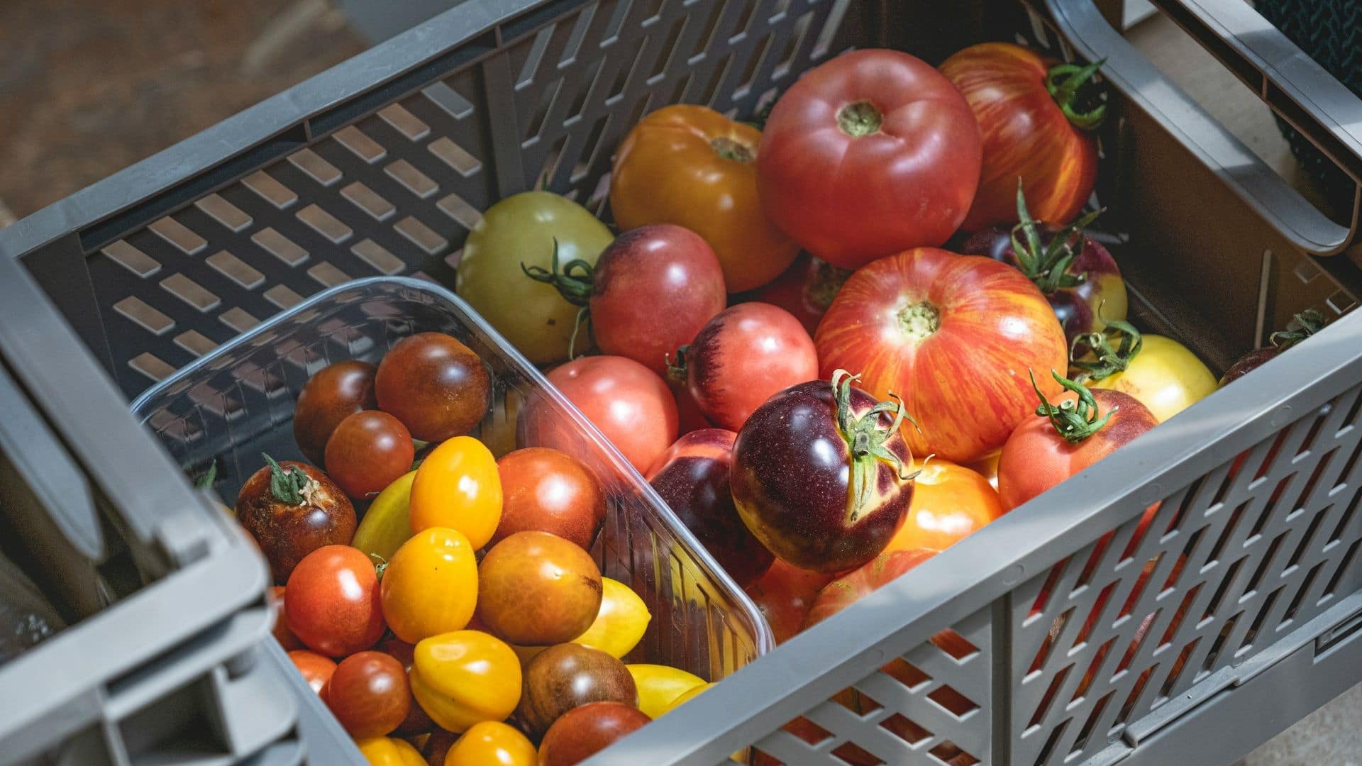 Food stored in plastic containers
