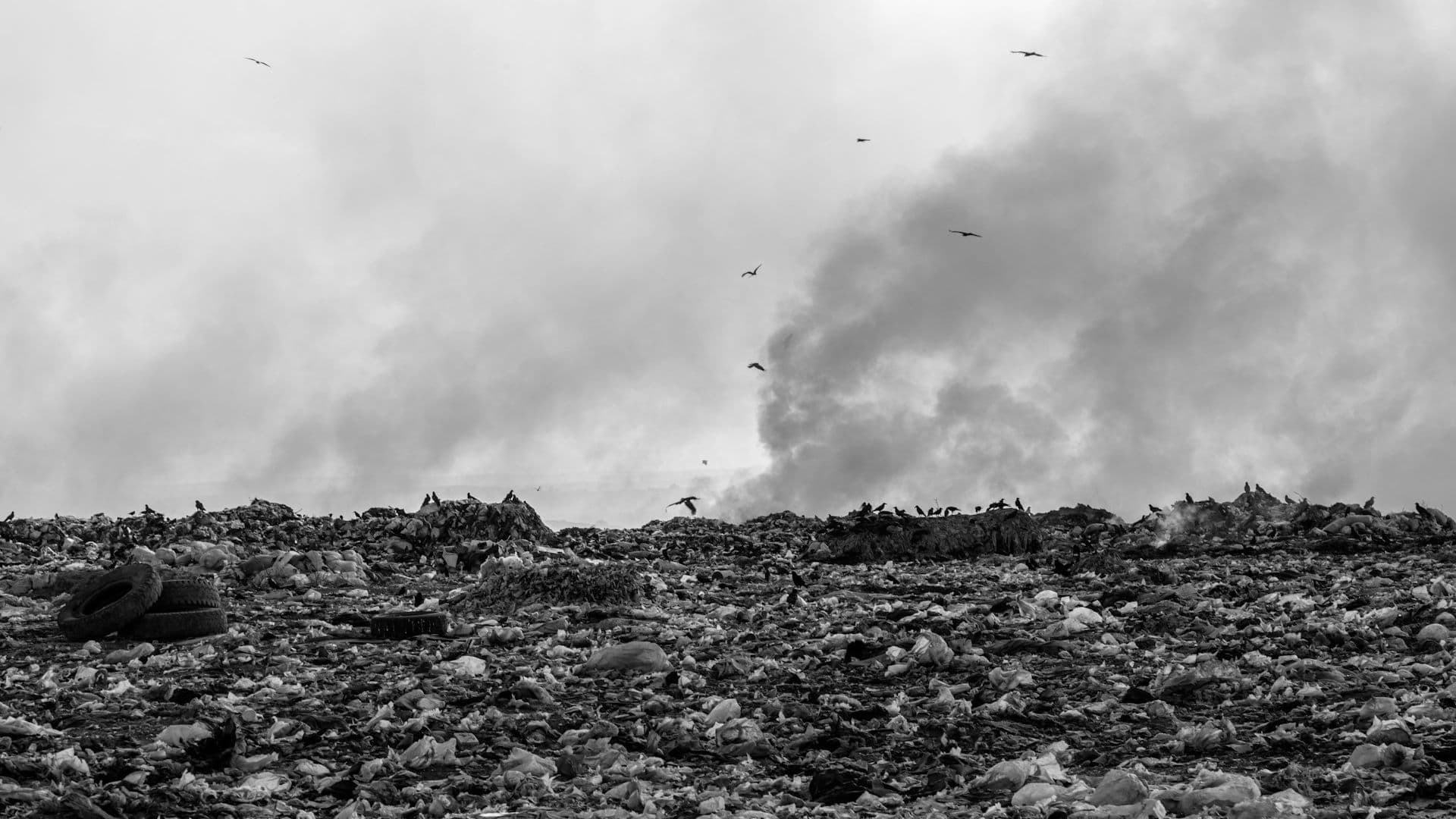 plastic waste in landfill