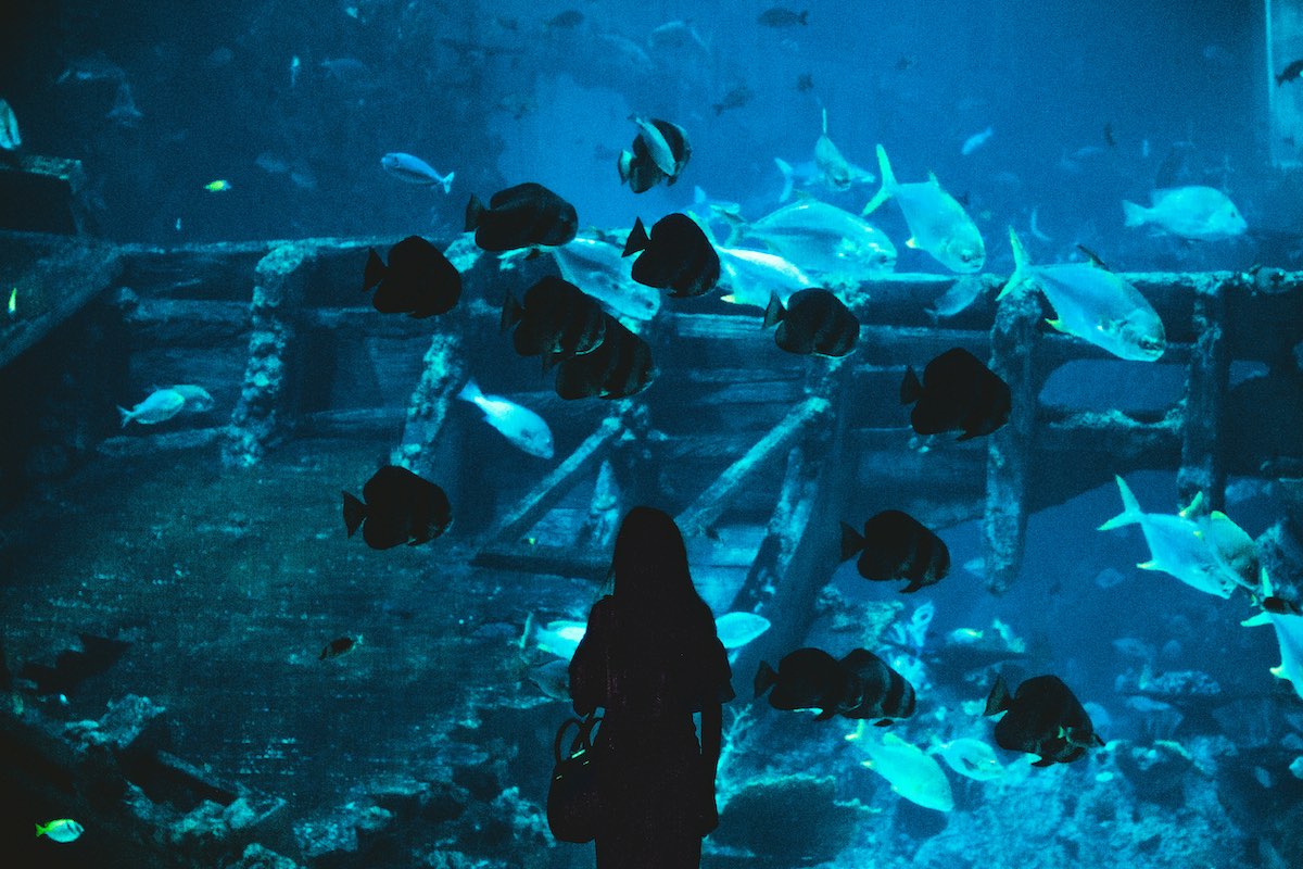 Aquarium