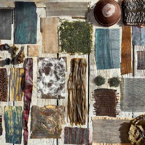 Violaine Buet, algae, seaweed, uses of algae, deco, living house, natural resources, applications of seaweed, artisan, French artisan, seaweed artisan, craftsmanship, local sourcing, natural textiles, organic fabrics, algae textile, sea organism, organic process