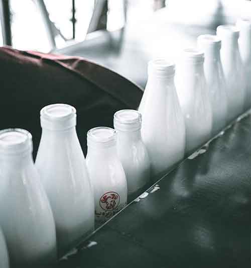 the-milk-article-