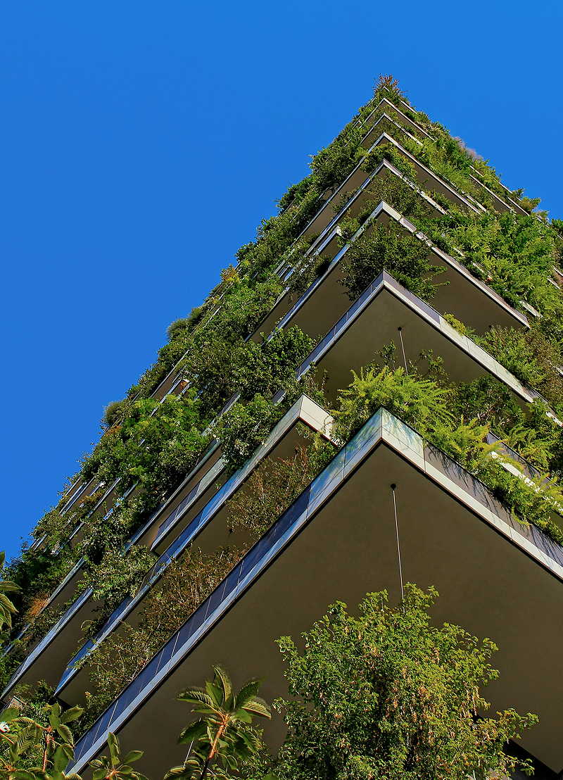green-roofs-creating-aesthetic-and-sustainable-buildings.5