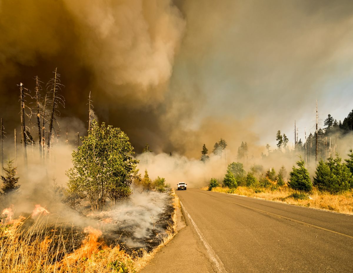 Devastating Wildfires 2023. Hottest Year On Record.