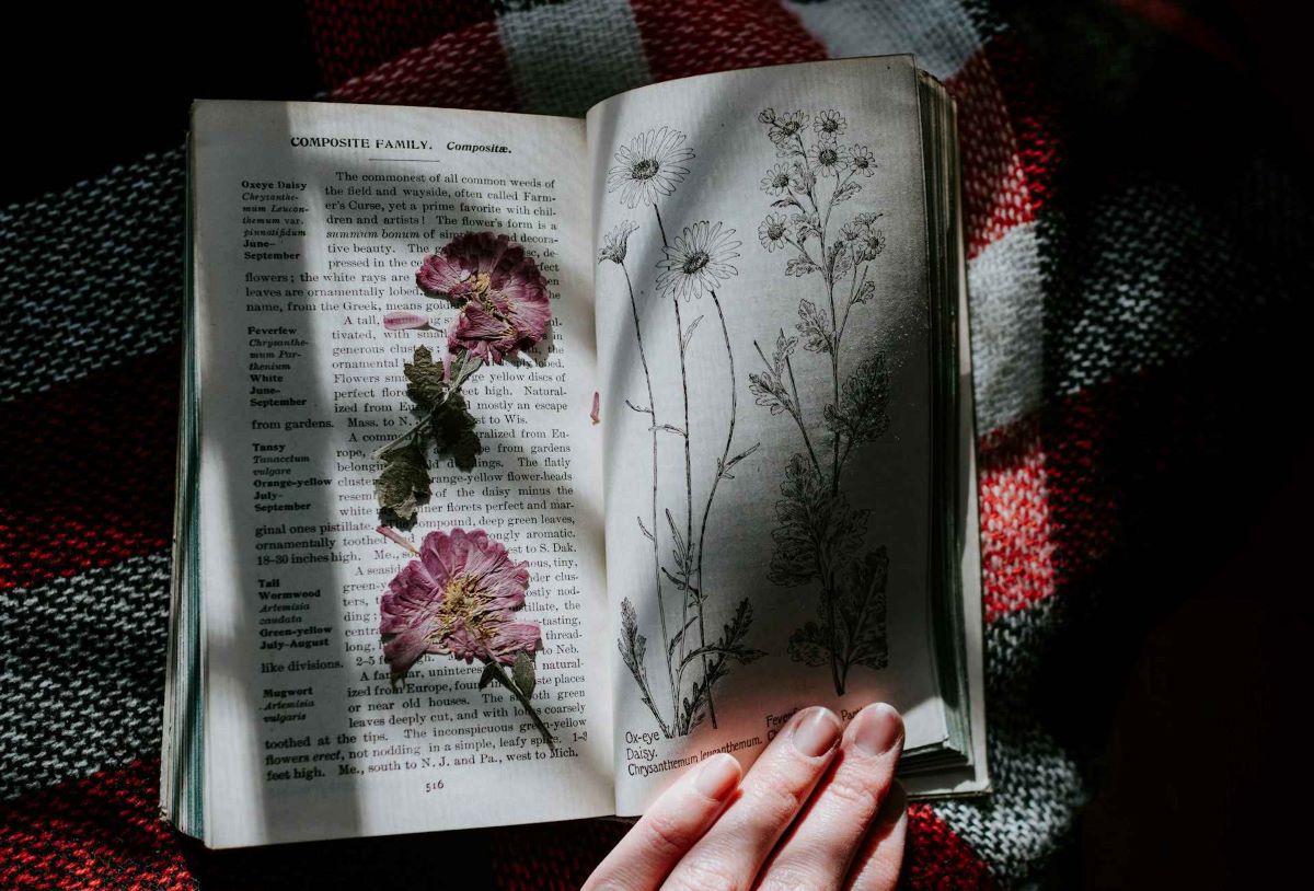 Phytopoetics-Literary-Ecology-and-Floral-Poetry-luxiders-magazine